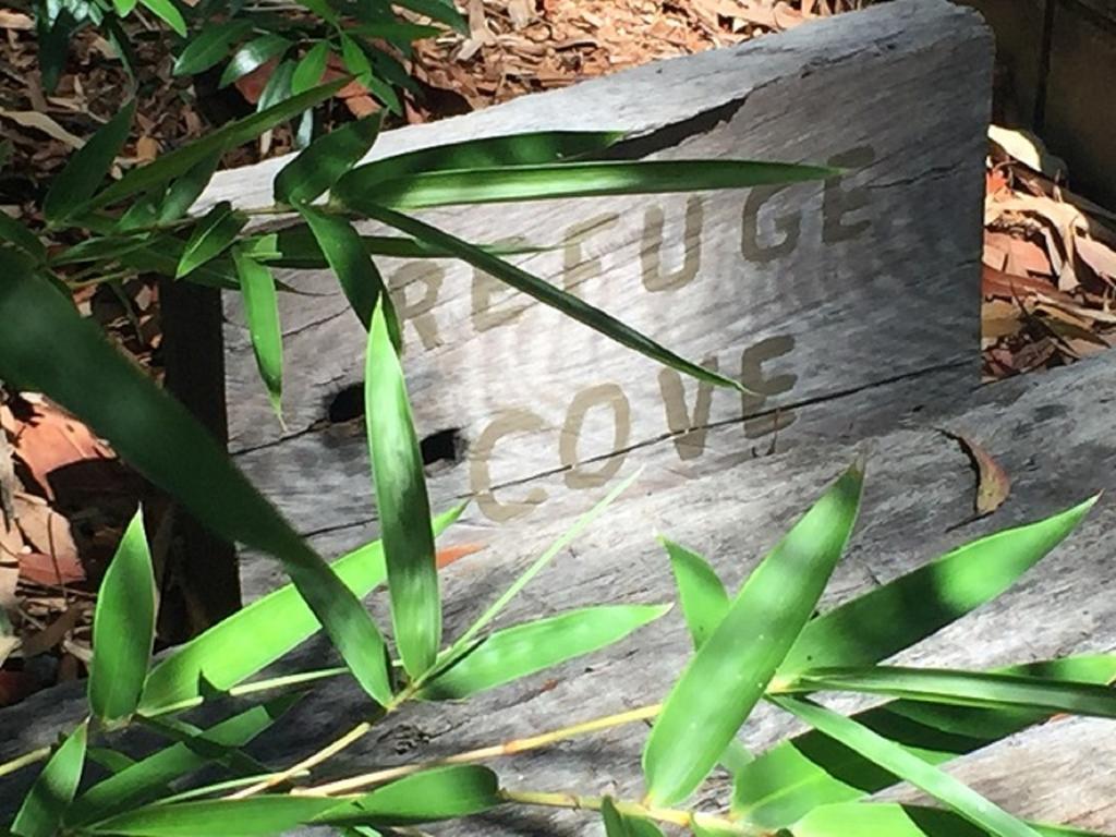 Refuge Cove On Pittwater Διαμέρισμα Clareville Εξωτερικό φωτογραφία